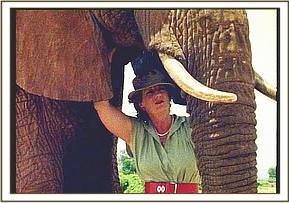 ELEANOR - Elephant Orphan History - David Sheldrick Wildlife Trust