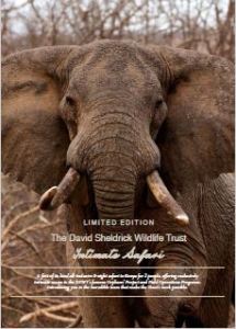 The David Sheldrick Wildlife Trust: A Haven for Elephants and Rhinos